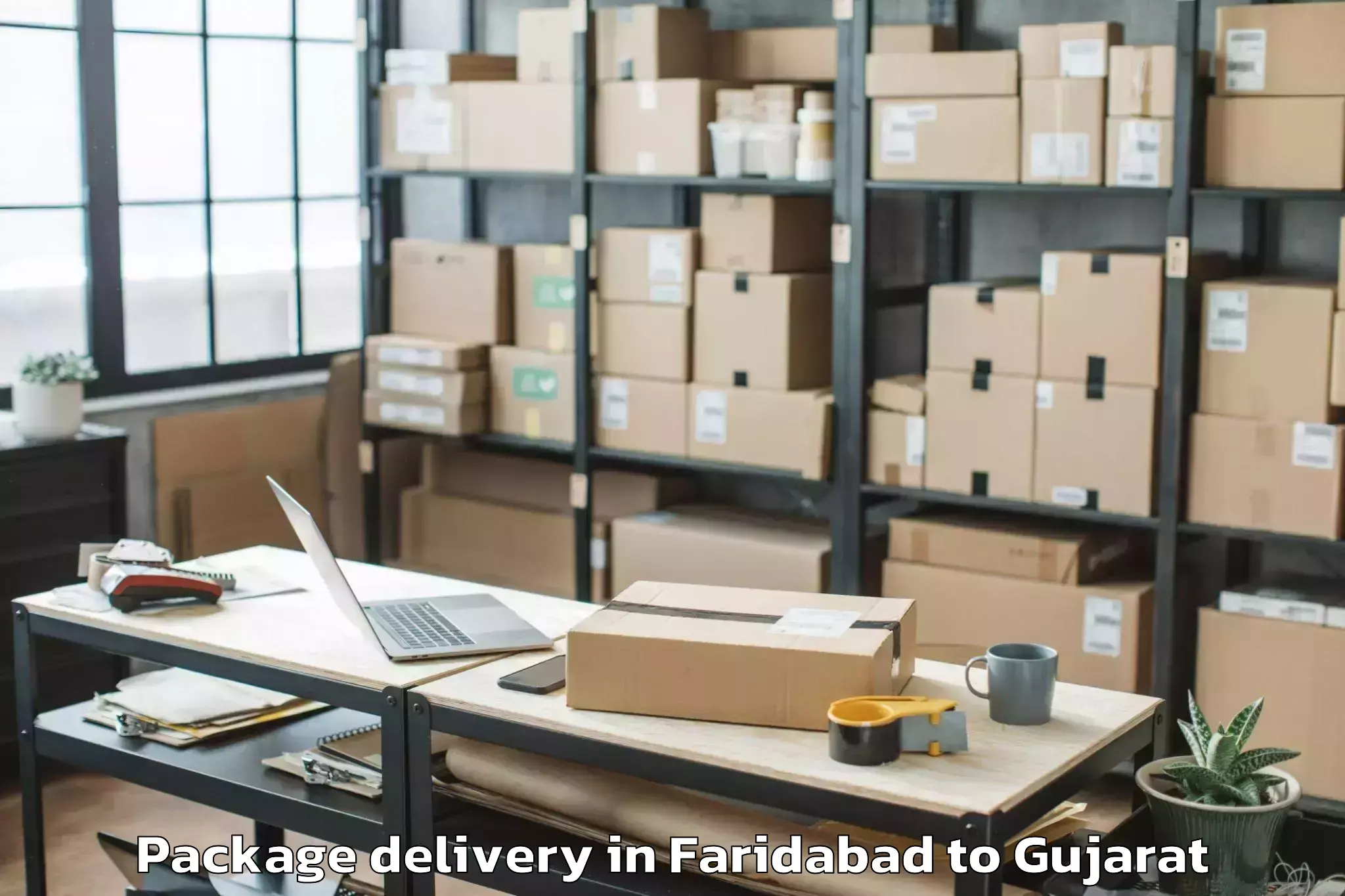 Trusted Faridabad to Sardarkrushinagar Dantiwada Ag Package Delivery